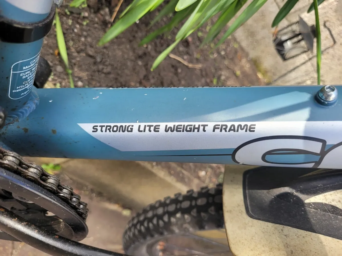 4 Mountain bikes 2 ladies new. 1 lady 1 Gents Used - Image 2