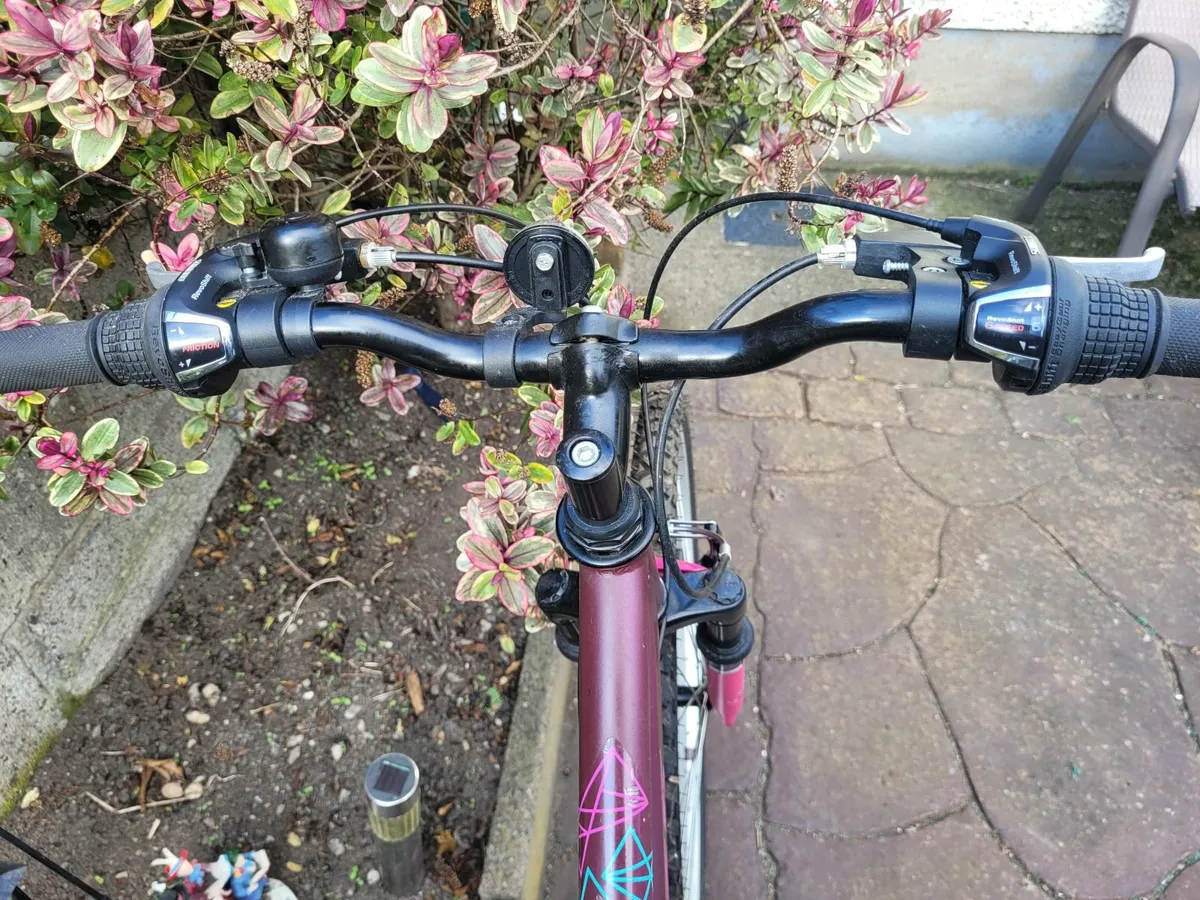 4 Mountain bikes 2 ladies new. 1 lady 1 Gents Used - Image 4
