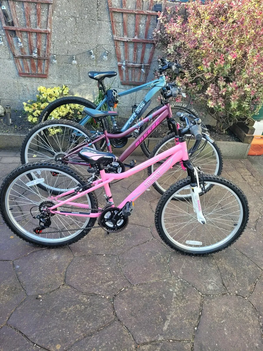 4 Mountain bikes 2 ladies new. 1 lady 1 Gents Used - Image 1