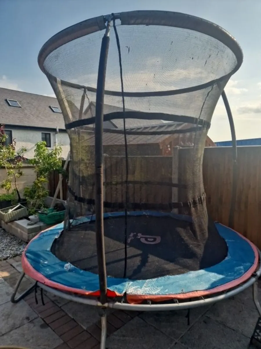 Trampoline - Image 2