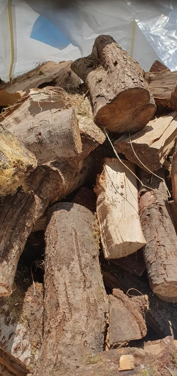 Firewood - Image 2