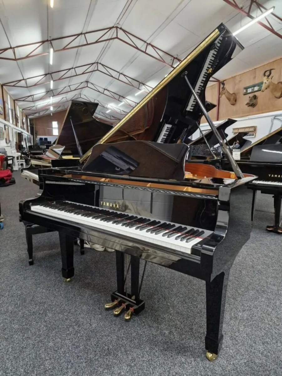 Yamaha C1 Grand Piano | c.1994 | Polished Black