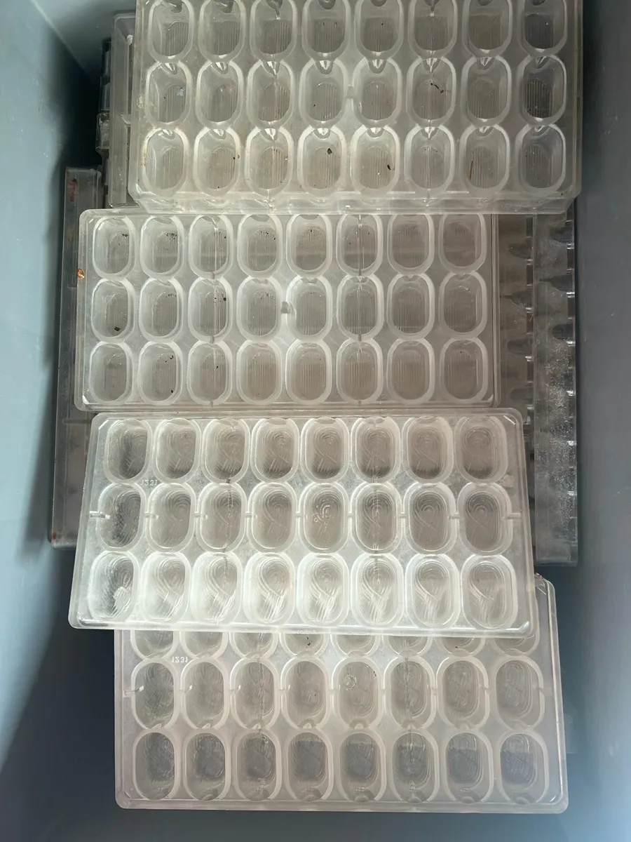 Chocolate Molds - Image 2