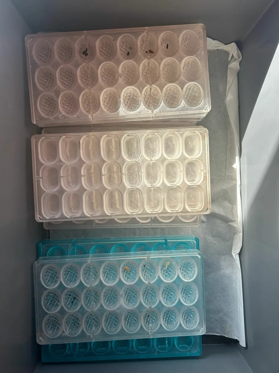 Chocolate Molds - Image 3