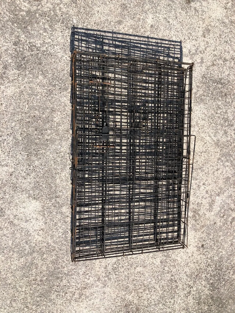 Steel dog pen - Image 1