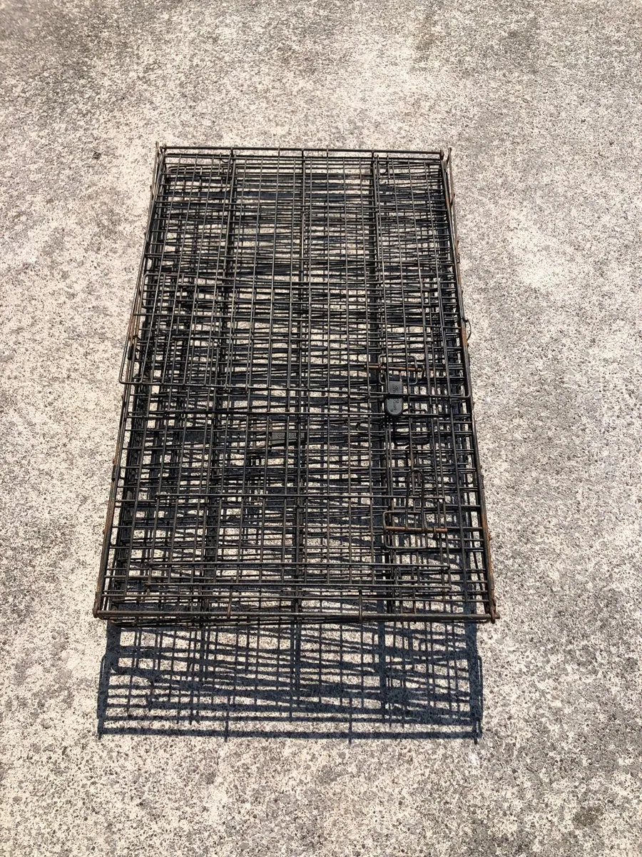 Steel dog pen - Image 2