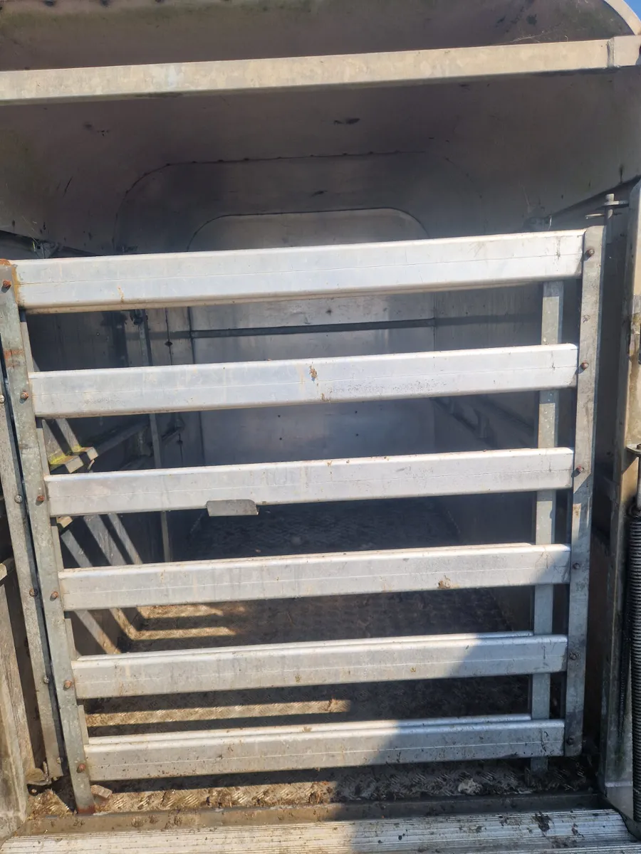 8x5 livestock trailer - Image 3