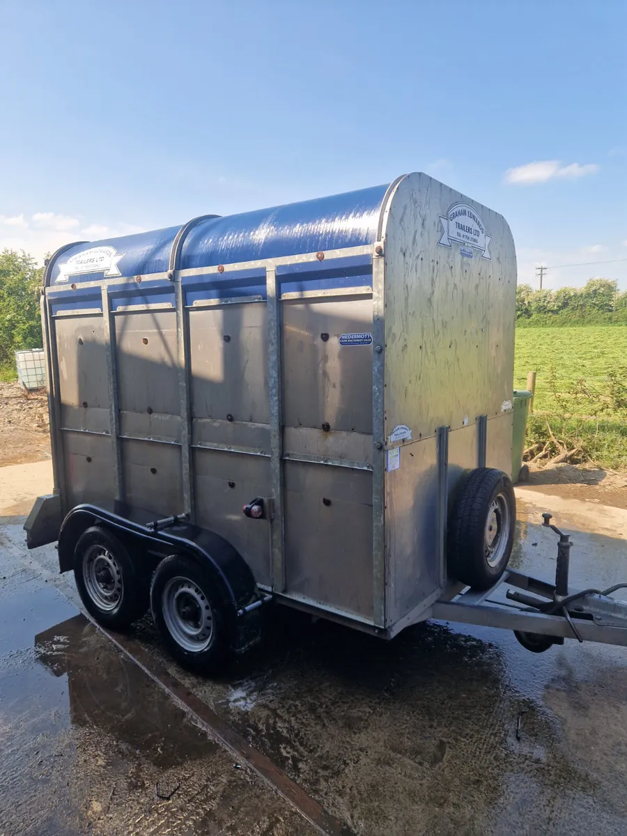 8x5 livestock trailer - Image 2