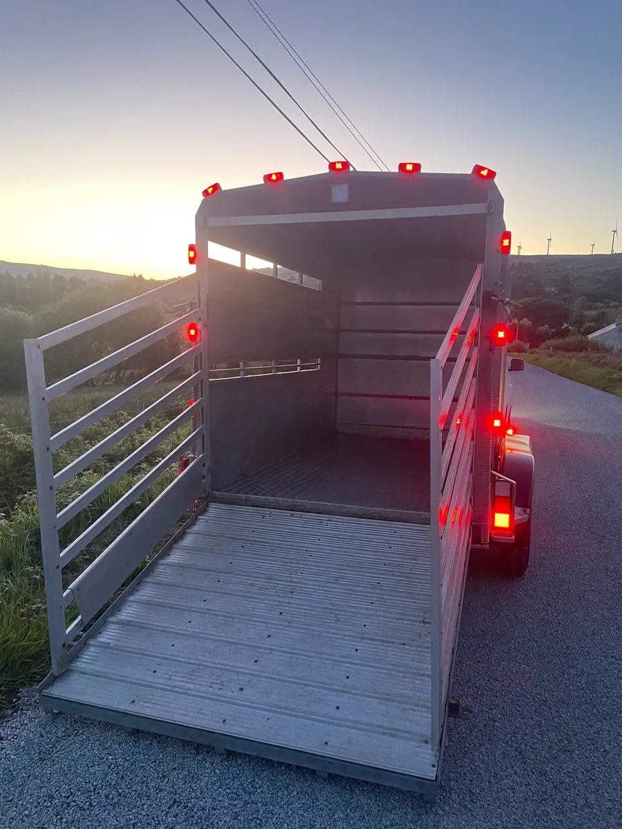 10 x 6 Hudson Trailer - Image 1