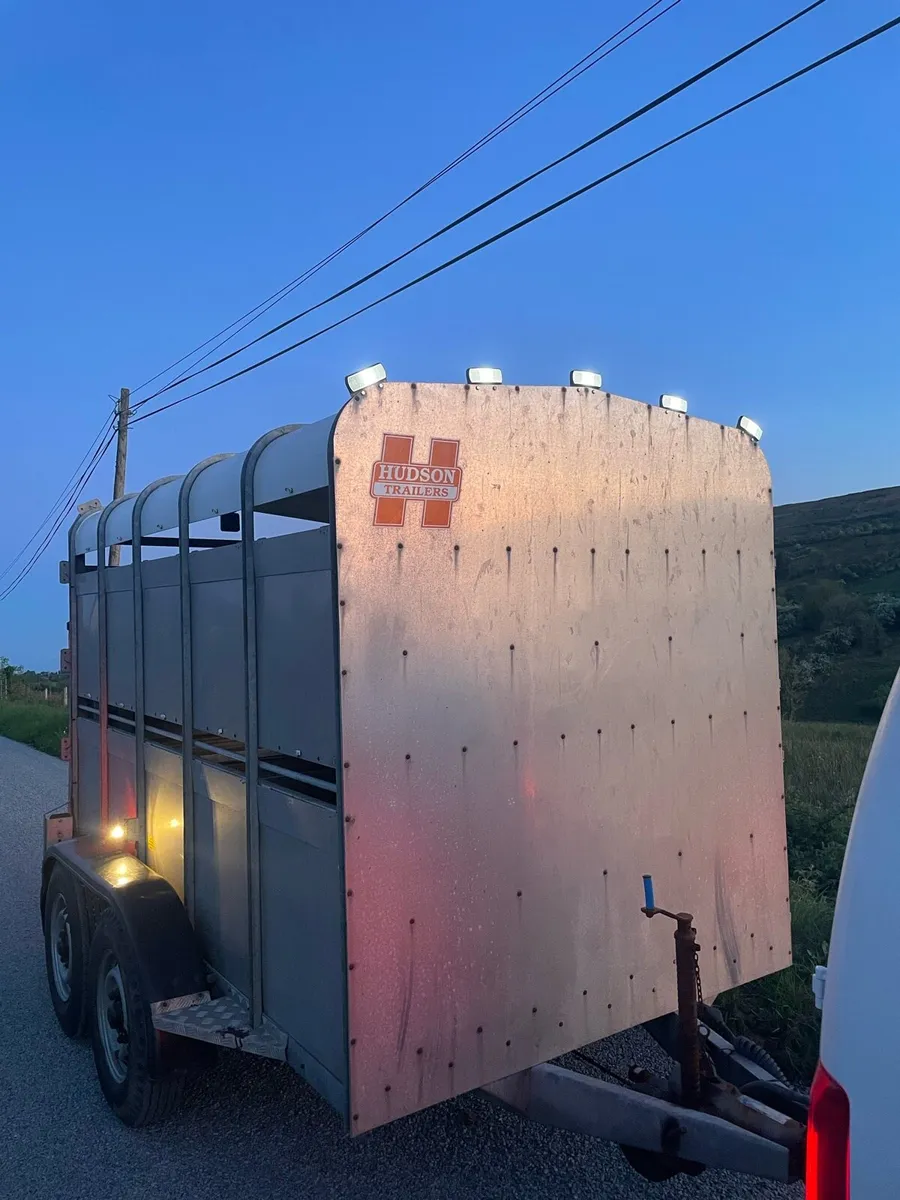 10 x 6 Hudson Trailer - Image 4