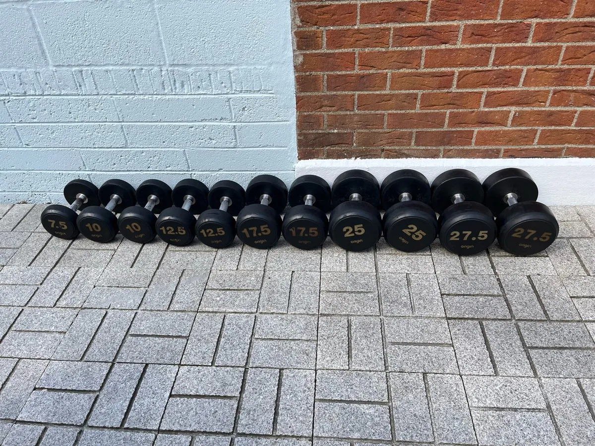 202kg origin fitness dumbbells - Image 1
