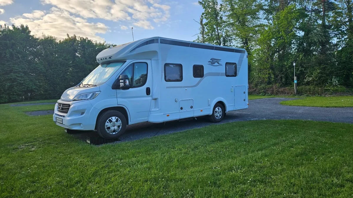 Laika. 4 birth  2021 with full cvrt . B licence - Image 1