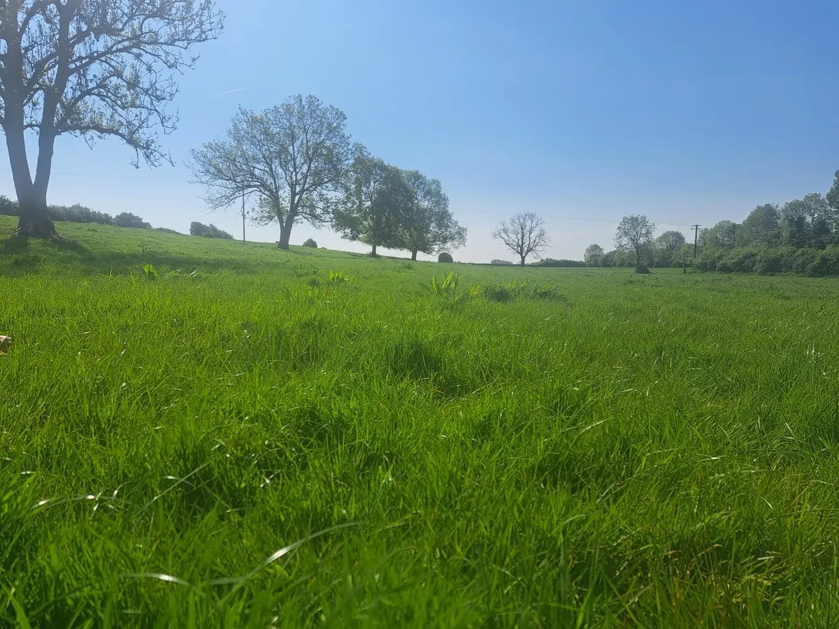 Land rent - Image 2