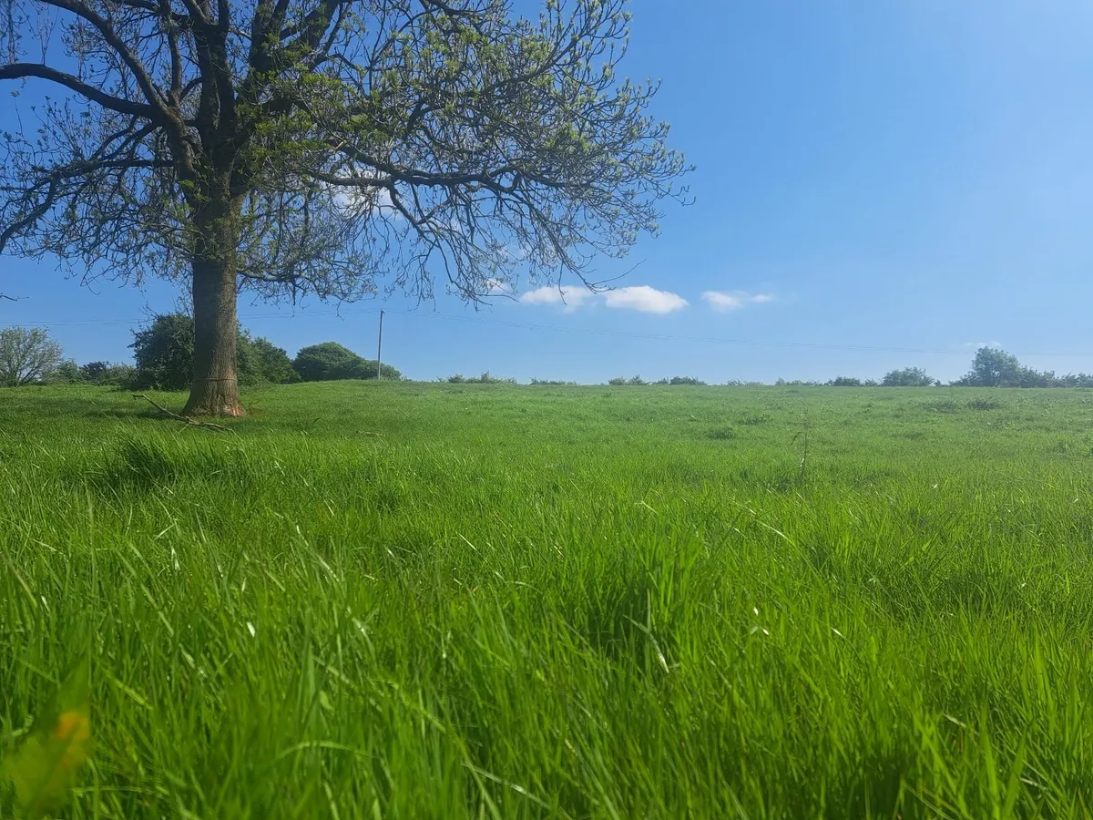 Land rent - Image 3