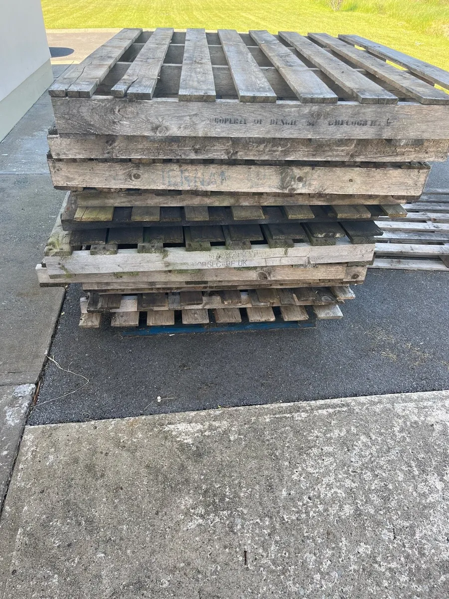 Pallets - Image 1
