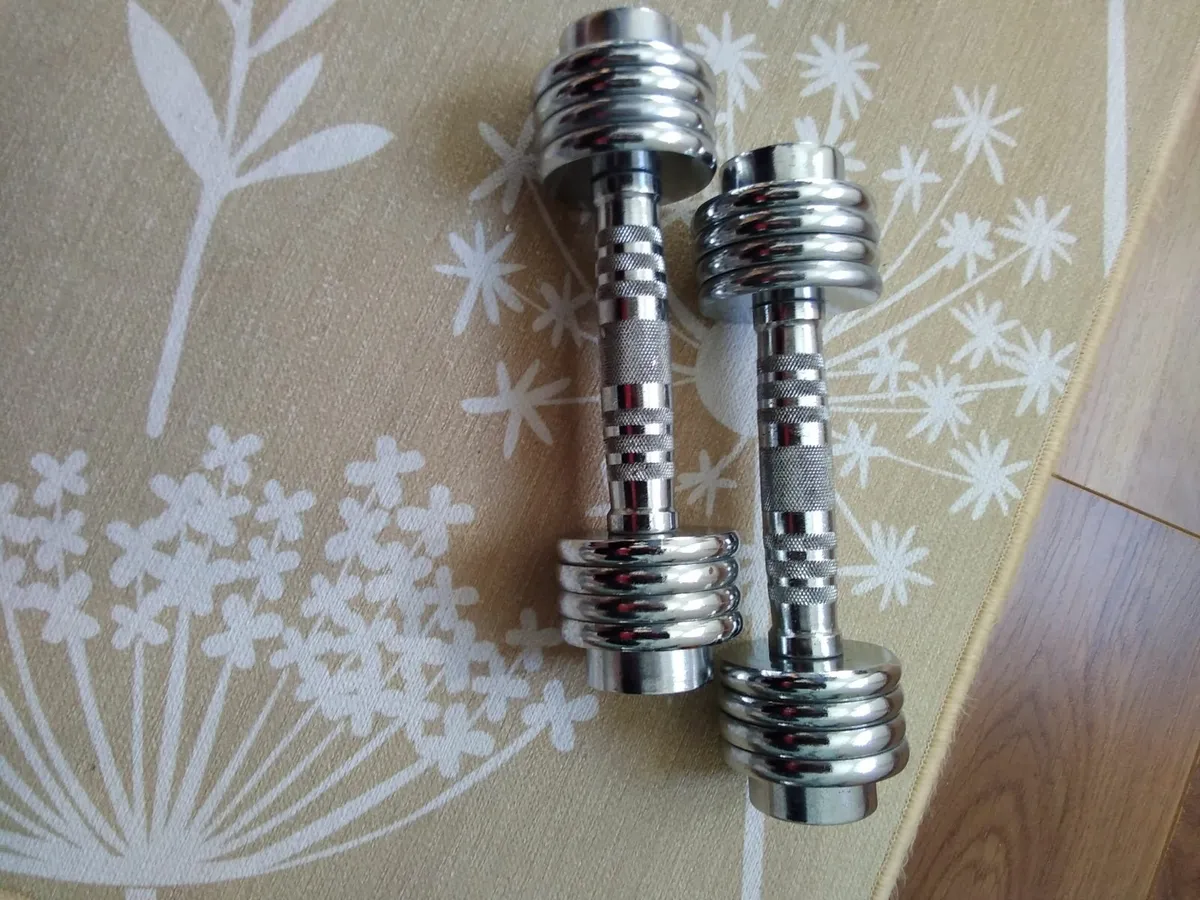 3kg hand weights - Image 1