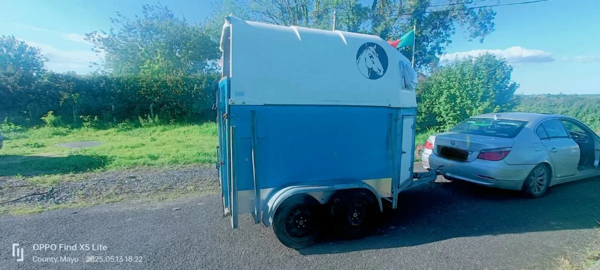 Horse Box - Image 2