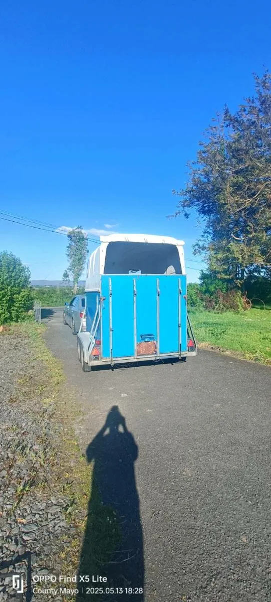 Horse Box - Image 4