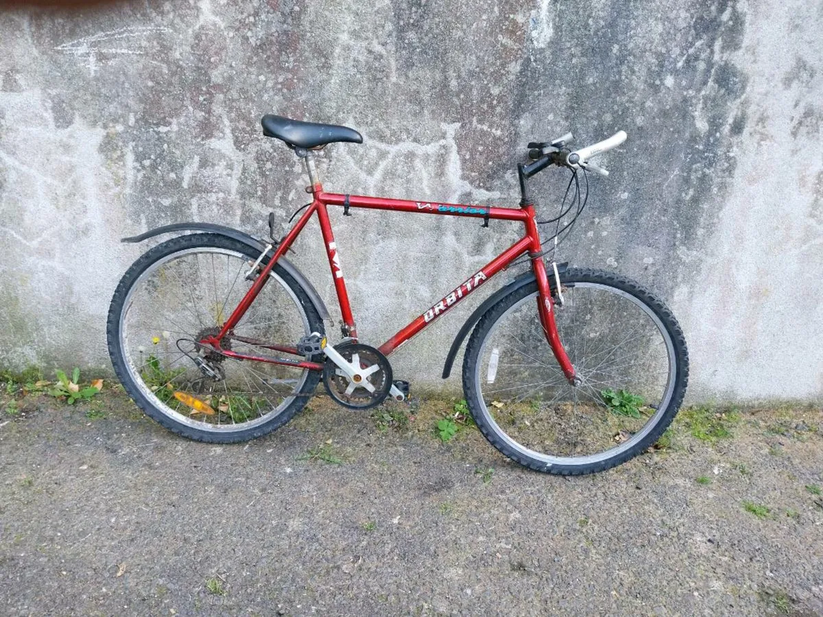 Men's mountain bike - Image 1