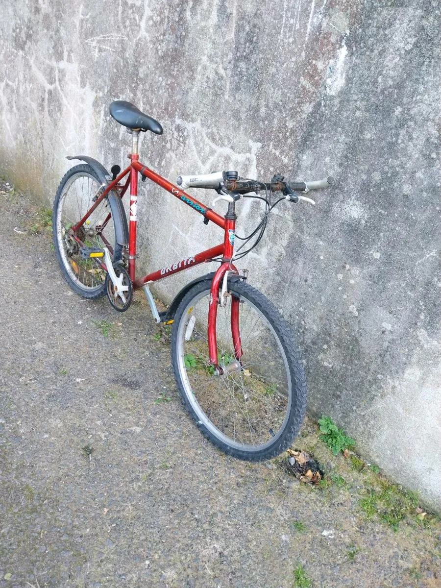 Men's mountain bike - Image 2