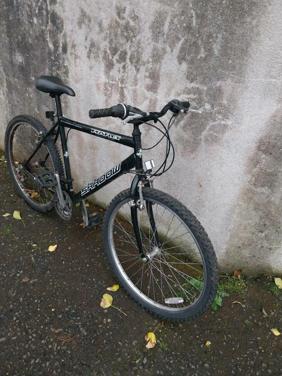 Men's mountain bike - Image 2