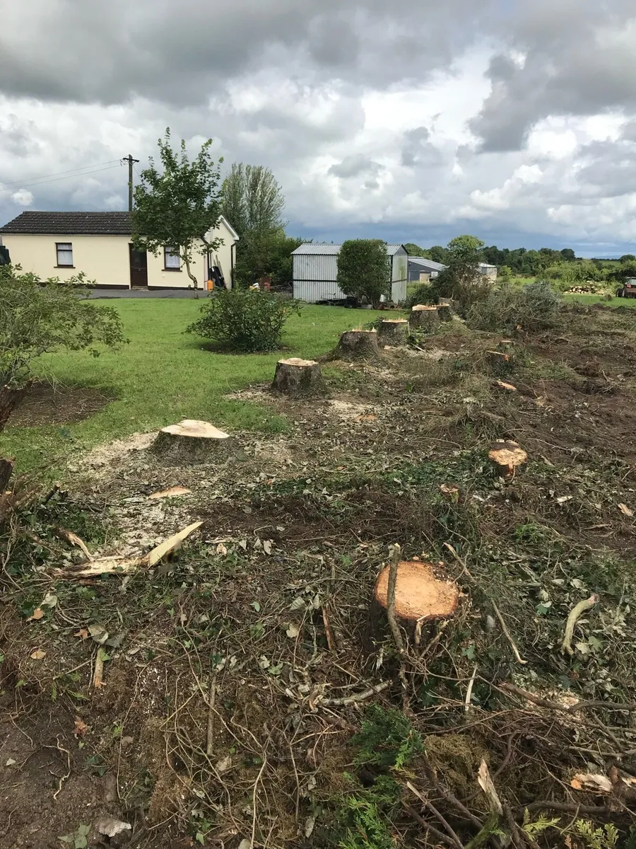 Stumpgrinding & Mulching call 0833199605 - Image 3