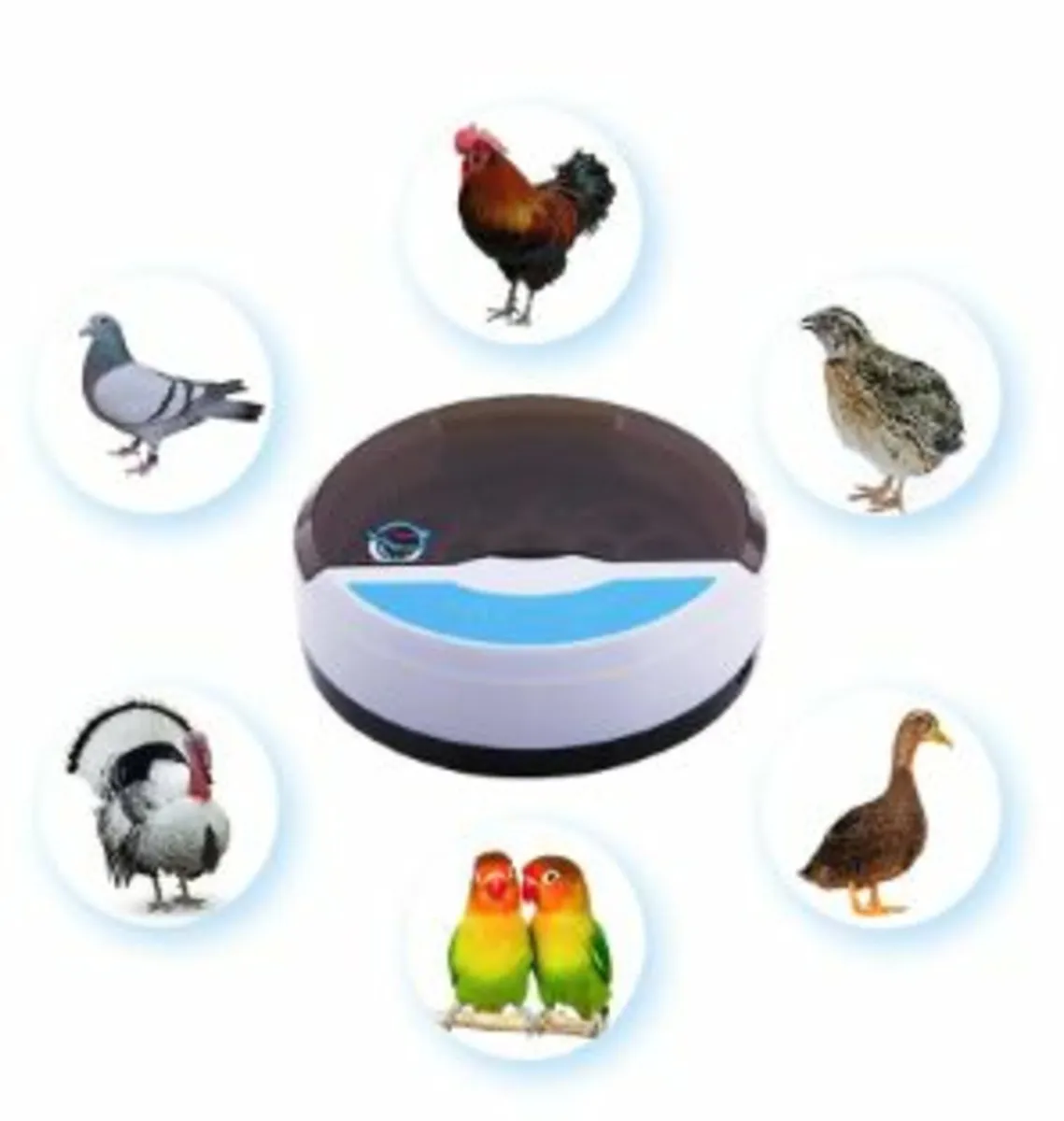 9 eggs + 4 bird eggsAutomatic Egg Incubator – Farm - Image 1