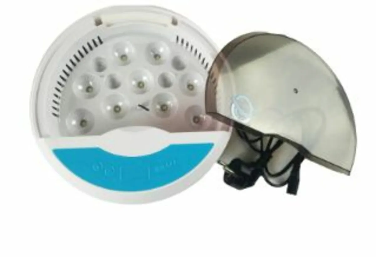 9 eggs + 4 bird eggsAutomatic Egg Incubator – Farm - Image 2
