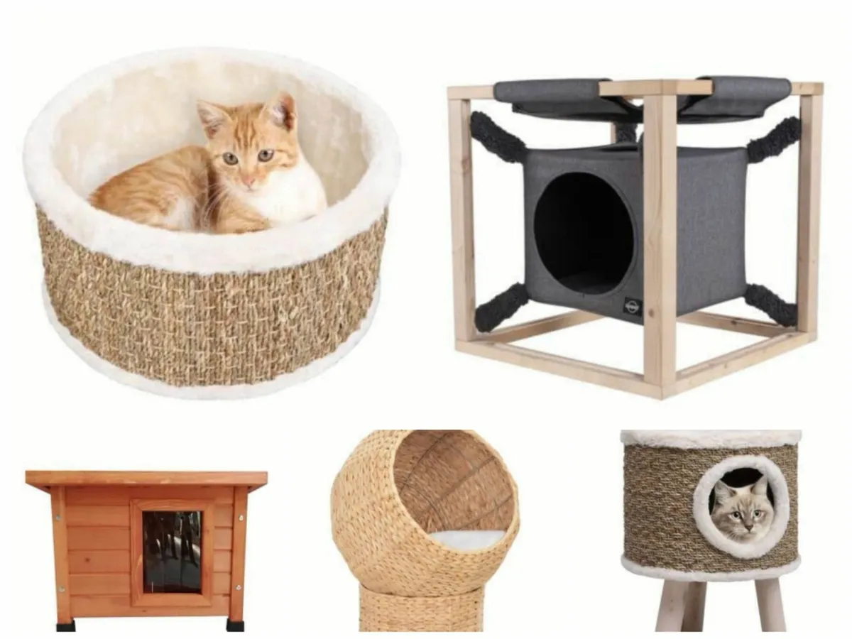 Cat Beds