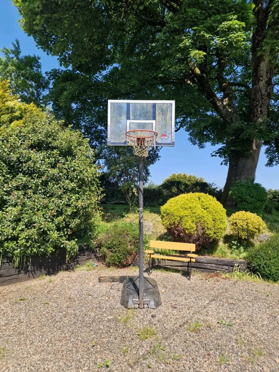 Basket Ball Hoop - Image 2