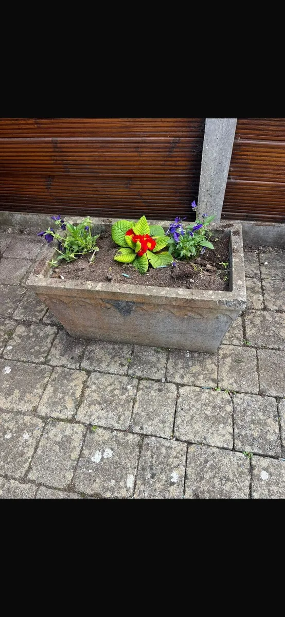 Flower pots - Image 1