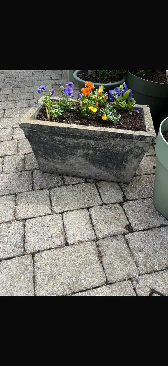 Flower pots - Image 2