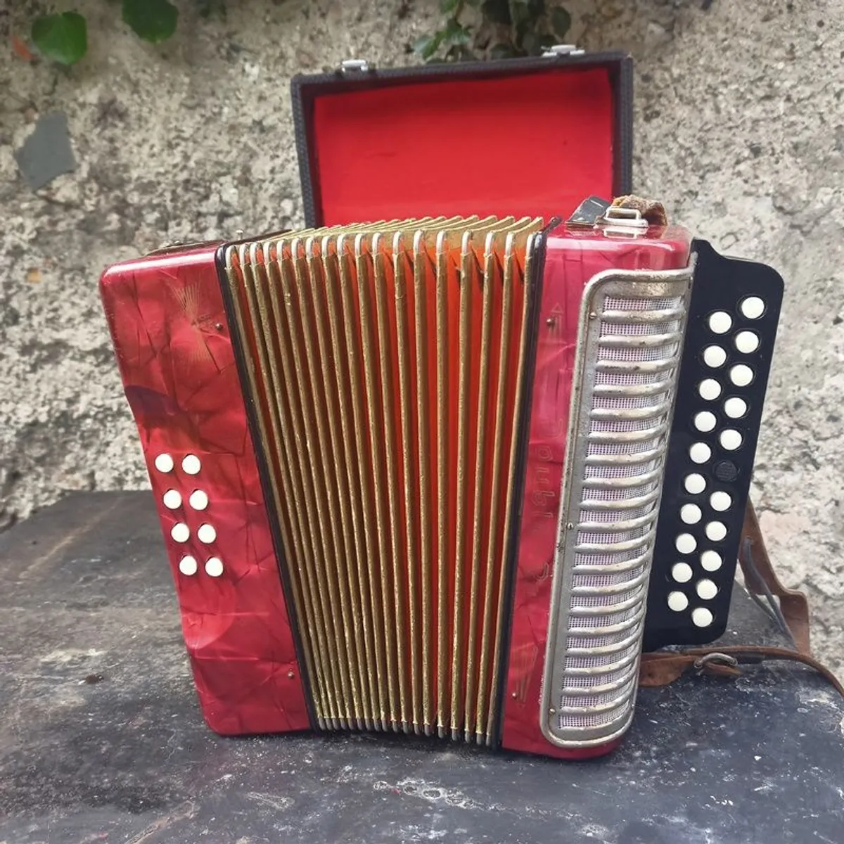 Hohner Black Dot BC Button Accordion for sale
