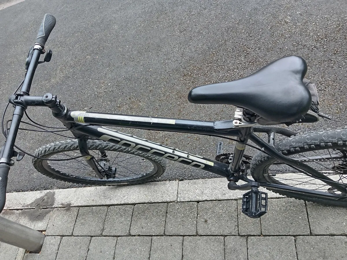Carrera 27.5 - Image 4