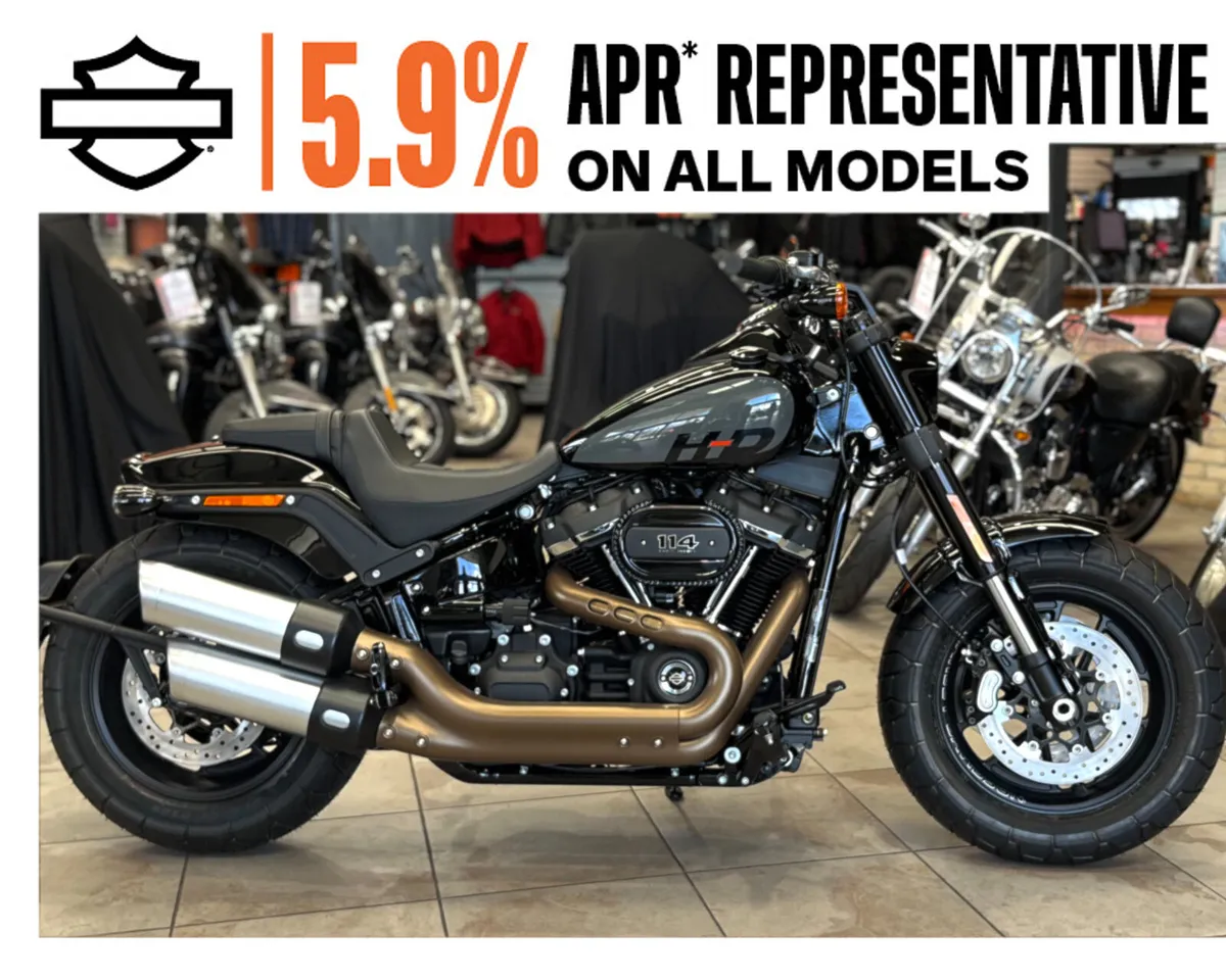 HARLEY-DAVIDSON FATBOB - Image 1