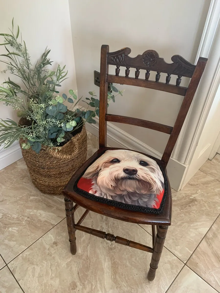 Dog lovers cahir - Image 1