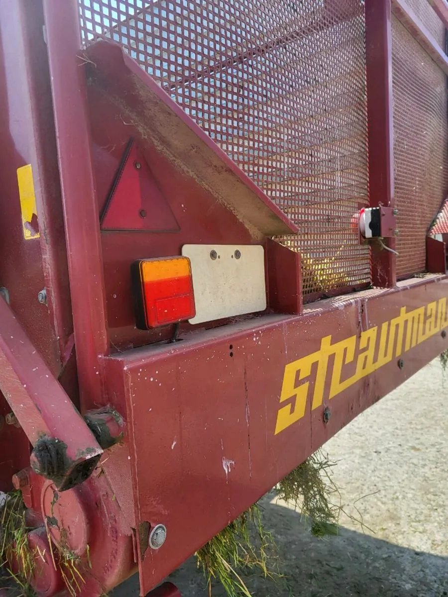 Strautman wagon - Image 2