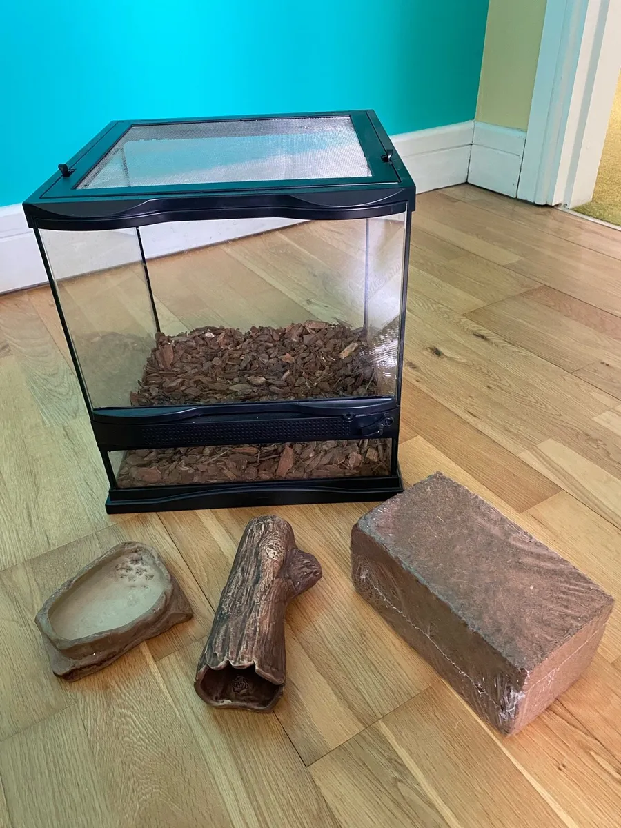 Vivarrium/Terrarium - Image 1