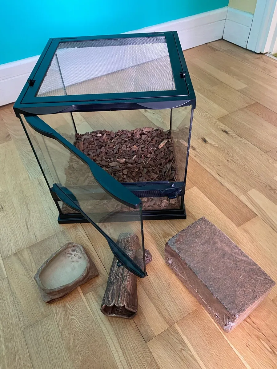 Vivarrium/Terrarium - Image 2