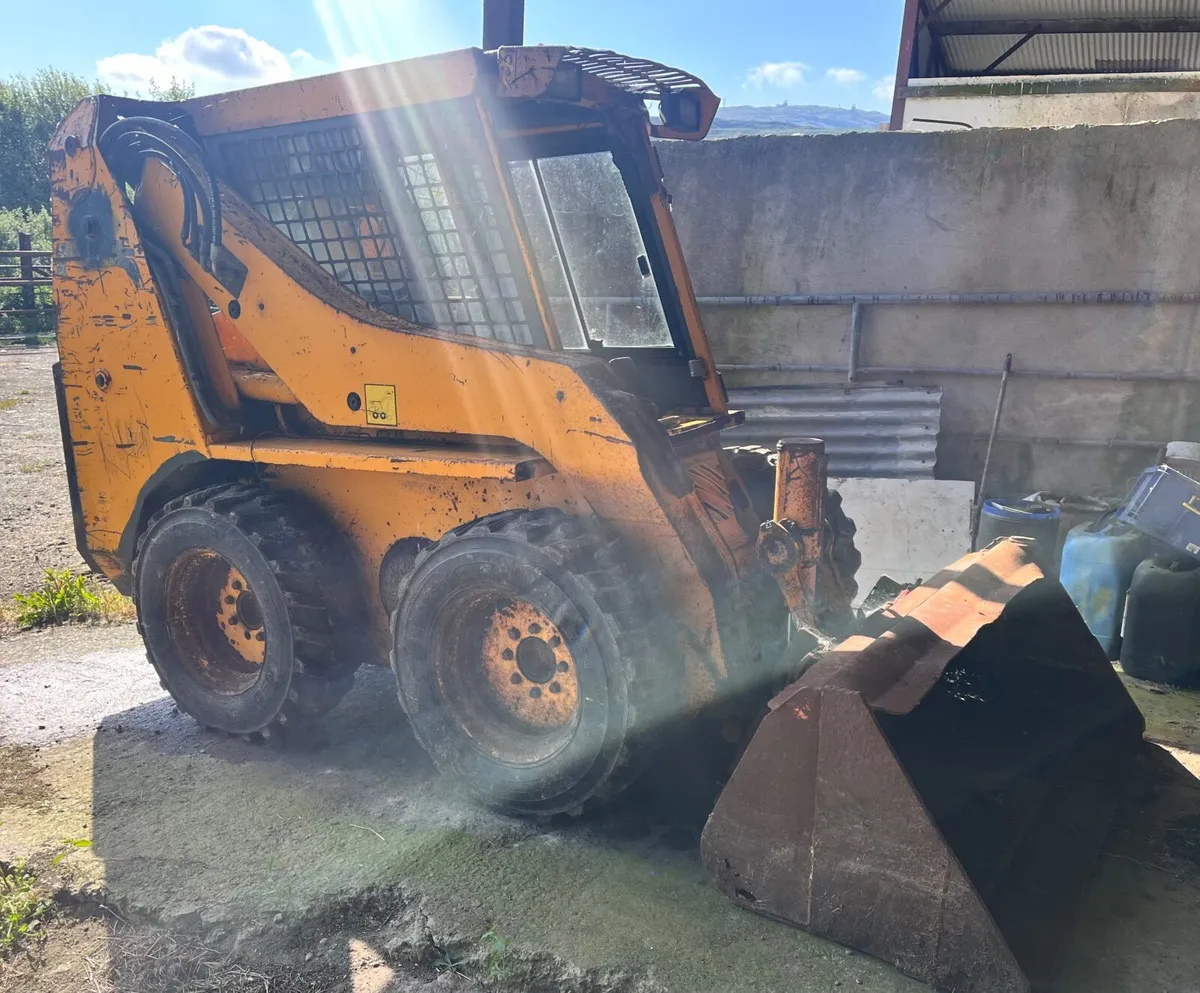 Skidsteer, bobcat, jcb - Image 1
