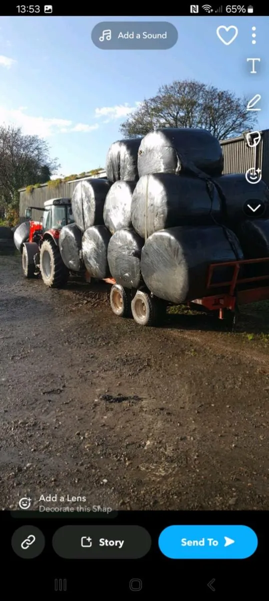14 ft woods trailer - Image 4