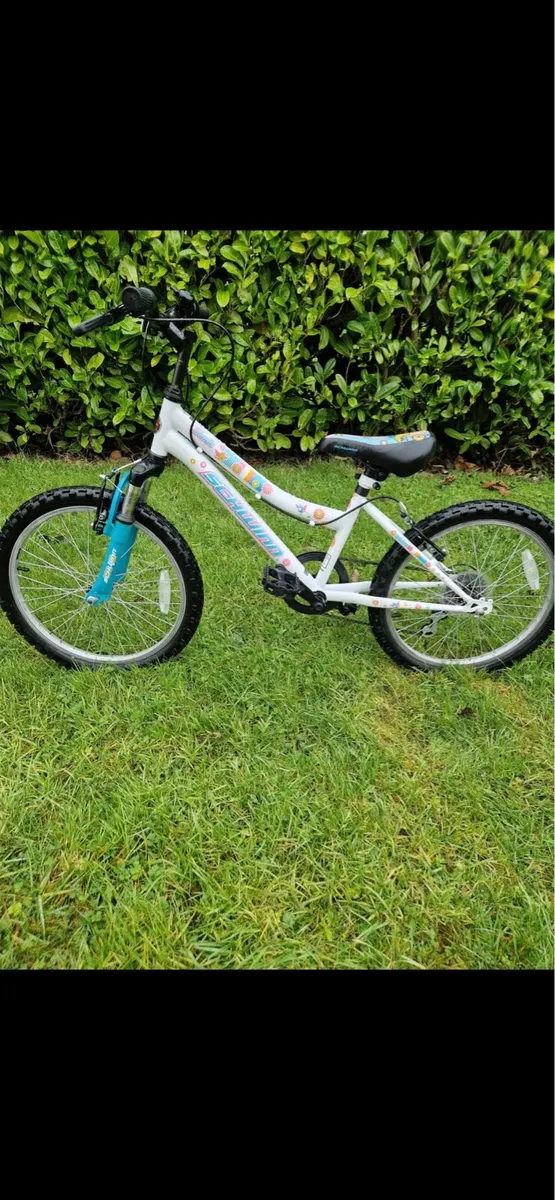 Girls Mountain Bike 20” - Image 1