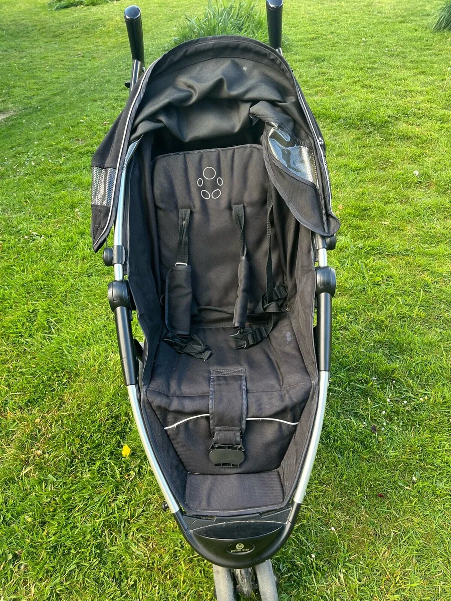 Buggy - Image 2