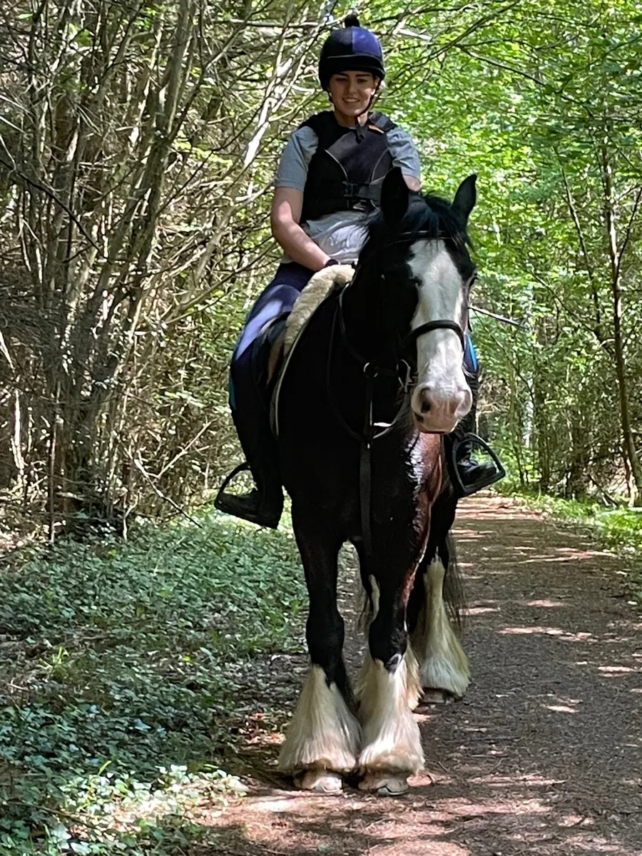 Genuine quiet pleasure ride - Image 3
