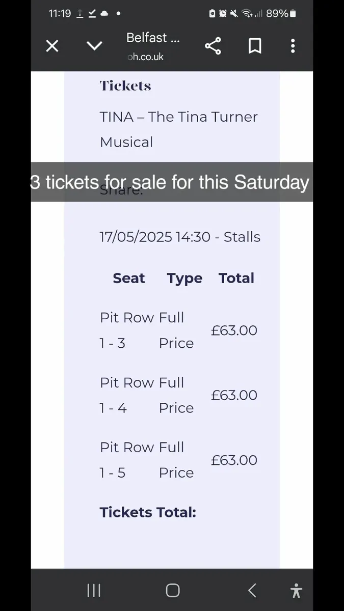 Tina Turner Musical