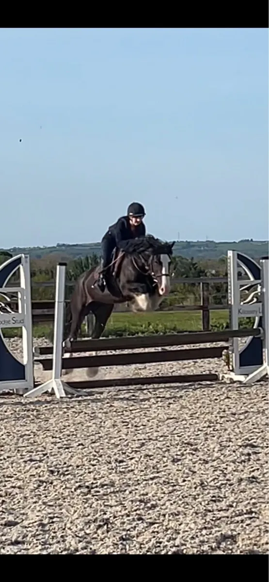 Smashing 14’2 - Image 2