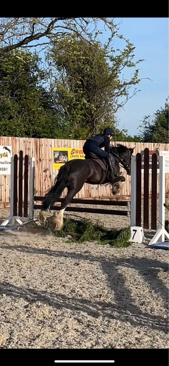 Smashing 14’2 - Image 3