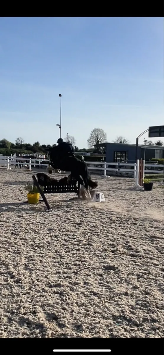 Smashing 14’2 - Image 4