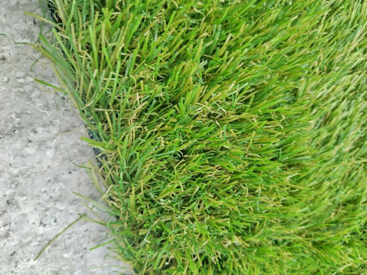 3m x 4m grass available - Image 2