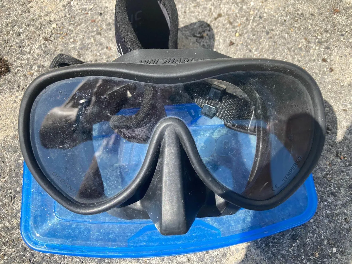 Oceanic Facemask and Viper Fins - Image 1